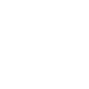 pie diabetico logo blanco